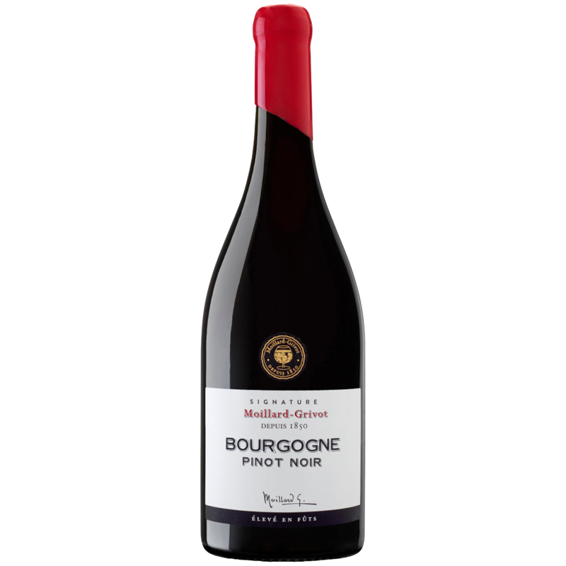 Vin Rouge De Bourgogne Beaune Gevrey Chambertin Moillard