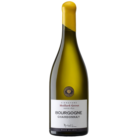 Bourgogne Chardonnay Cuvée Signature - 2023 | Moillard