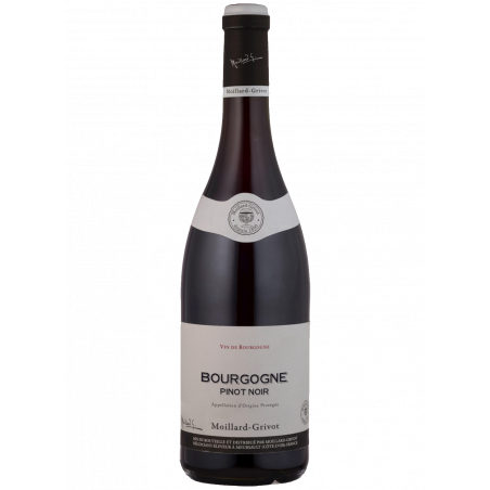 Bourgogne Pinot Noir - 2022 | Moillard