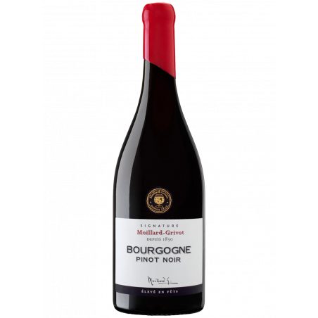 Bourgogne Pinot Noir Cuvée Signature - 2022 | Moillard