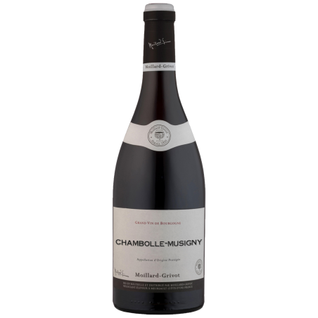 Chambolle Musigny - 2023 | Moillard