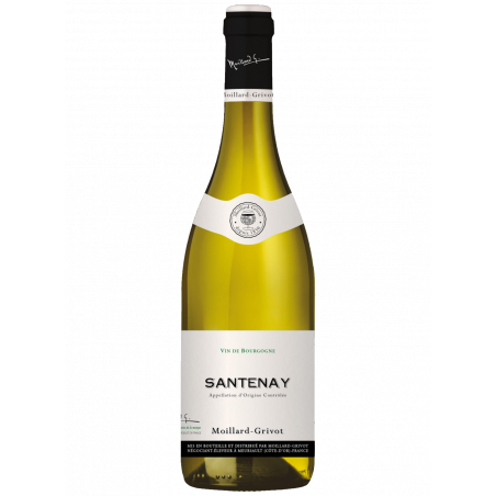 Santenay Blanc - 2021 | Moillard