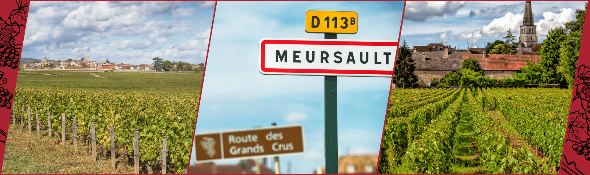 Vignoble Meursault